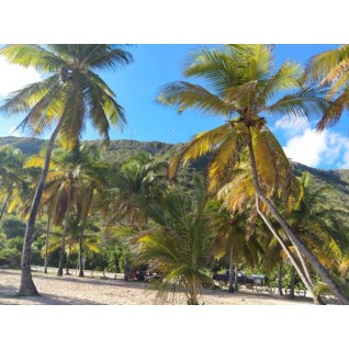 9 Semanas Intensivo + 1 bonus