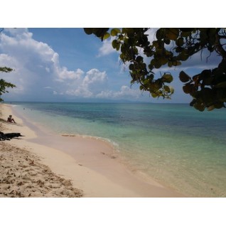 9 Semanas Intensivo + 1 bonus