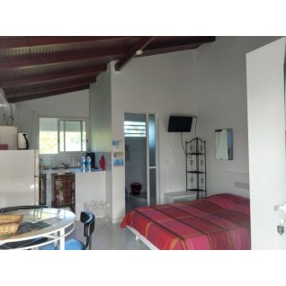 Semana - Apartamento -Suretier